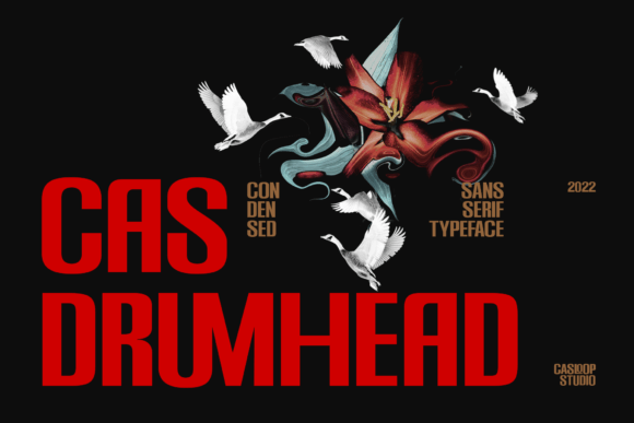 Cas Drumhead Display Font for Modern Web Design